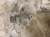 Фото: Стол CORNER 120 GLOSS ATHENS BROWN SINTERED STONE / BLACK М-City Стол CORNER 120 GLOSS ATHENS BROWN SINTERED STONE / BLACK М-City
